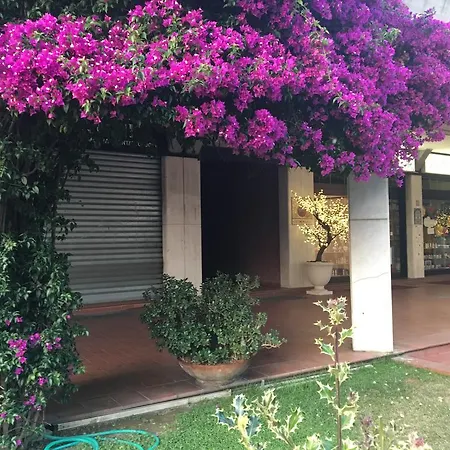 Il Parco Apartment Marina di Massa